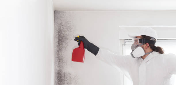 Best Industrial Mold Remediation in Williamsport, MD